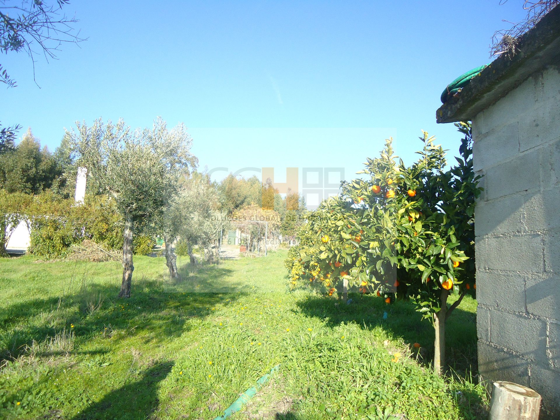 SGH Mediação Imobiliária,Unipessoal Lda