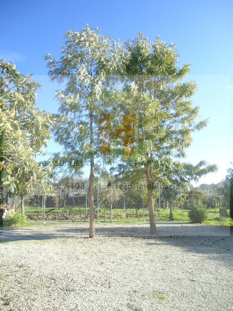 SGH Mediação Imobiliária,Unipessoal Lda