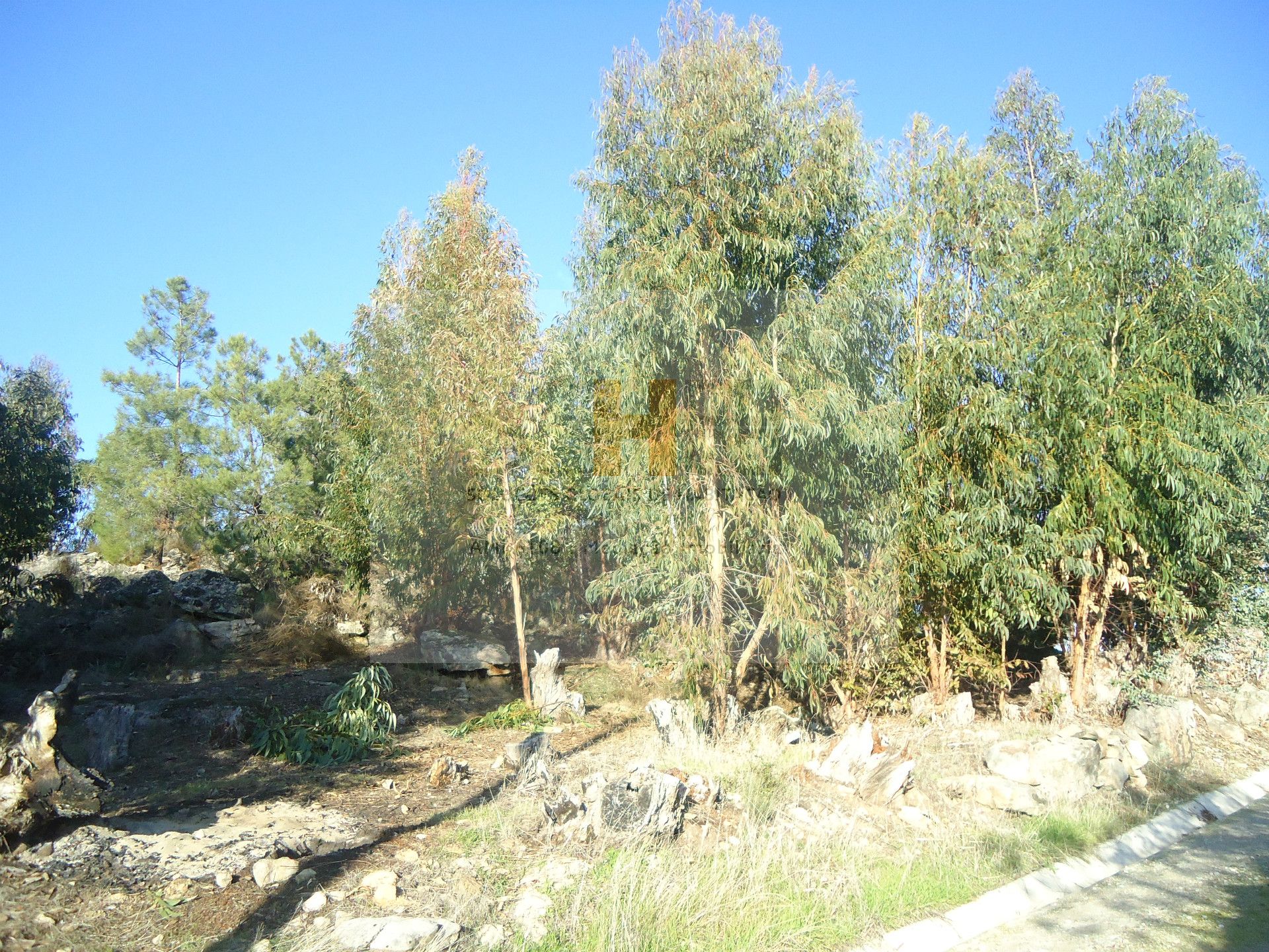 SGH Mediação Imobiliária,Unipessoal Lda