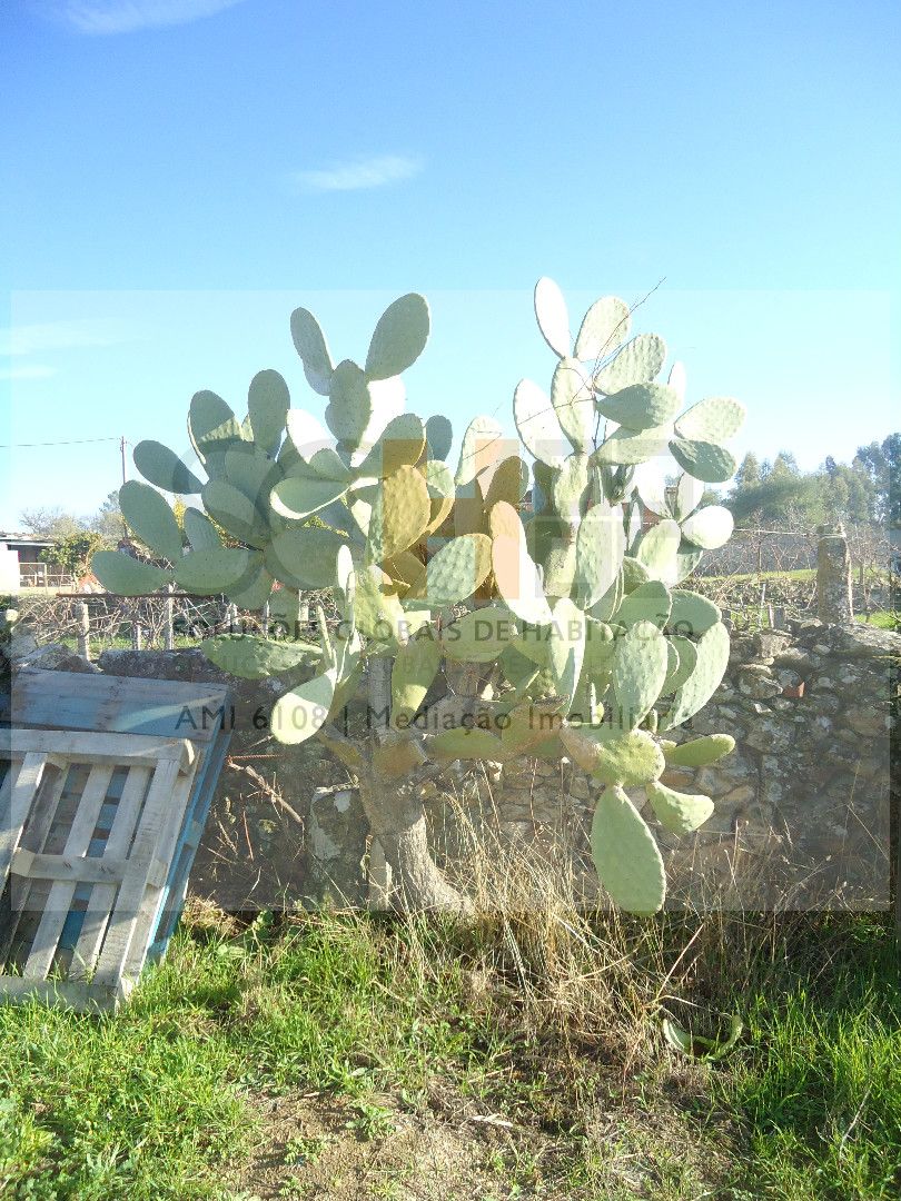 SGH Mediação Imobiliária,Unipessoal Lda