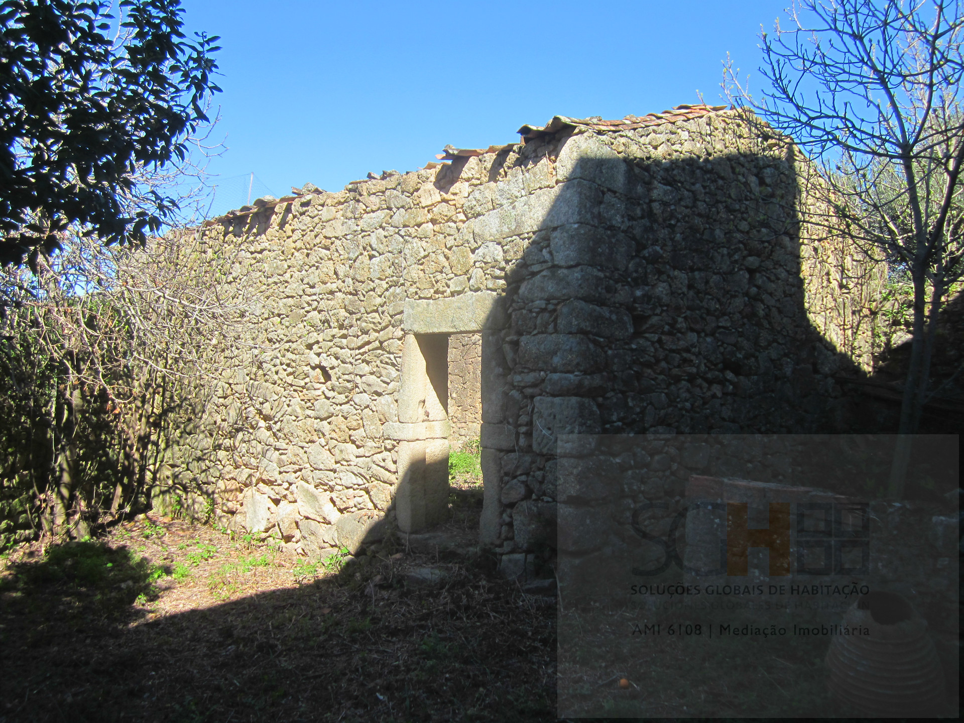 House T1, Castelo Branco, Castelo Branco